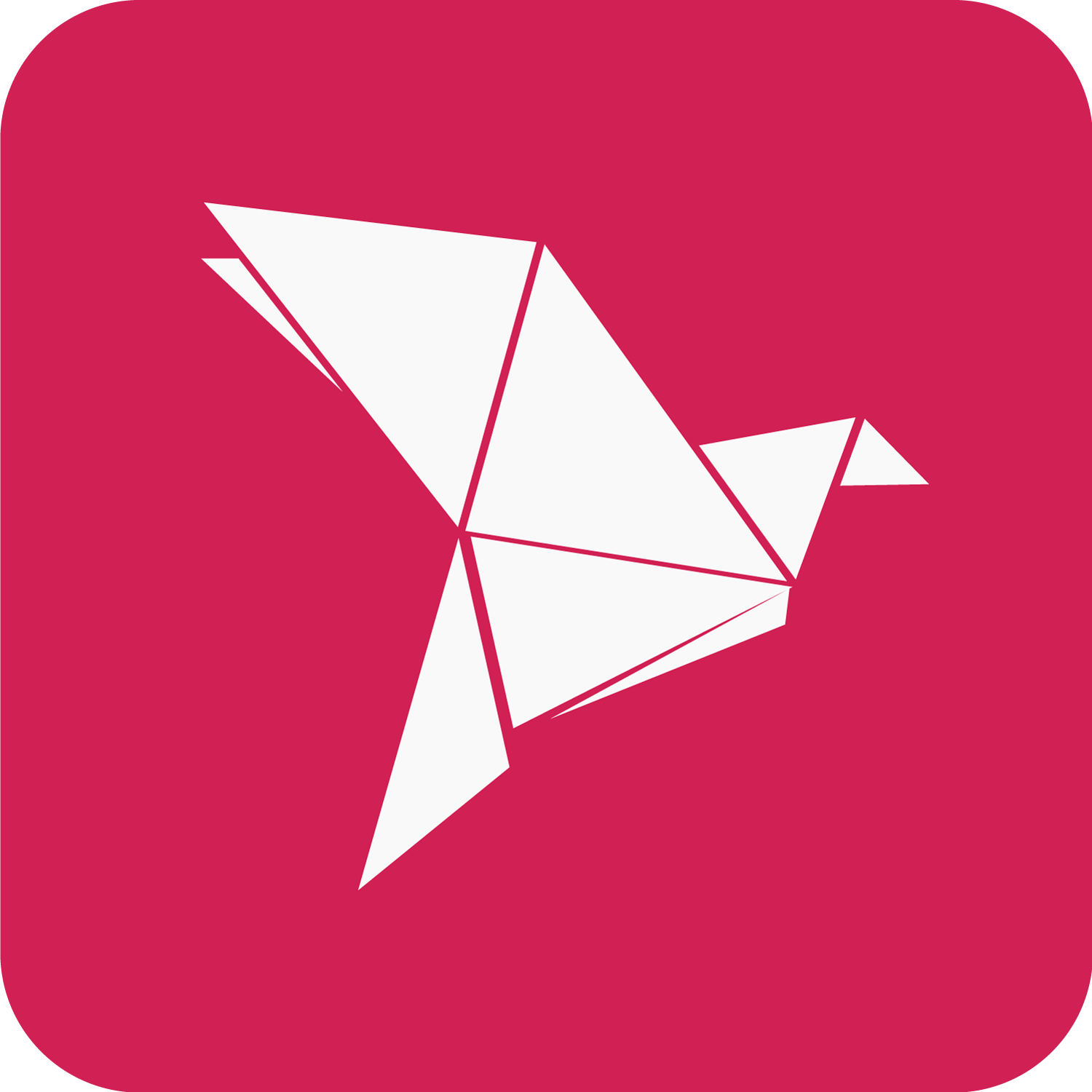 bKash Icon